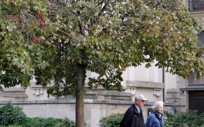 Start Planning for Retirement at 50: A Step-by-Step Guide